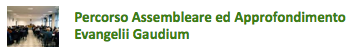 percorso_assembleare_evangelii_gaudium